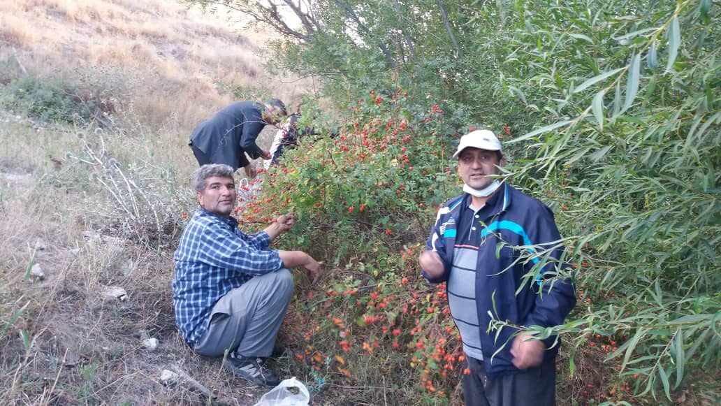 آزادگان سرافراز اردبیل