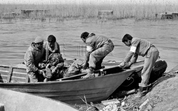 مؤسسه فرهنگی، هنری پیام آزادگان