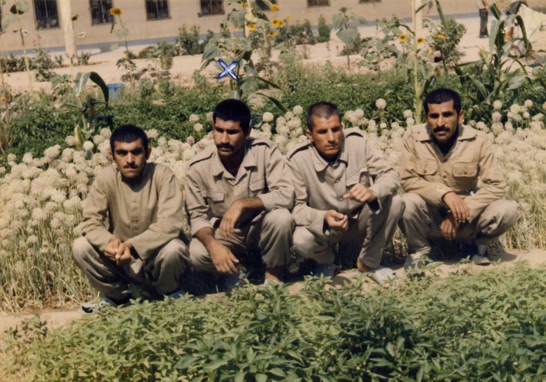 شهید غریب اسارت محمود امجدیان9