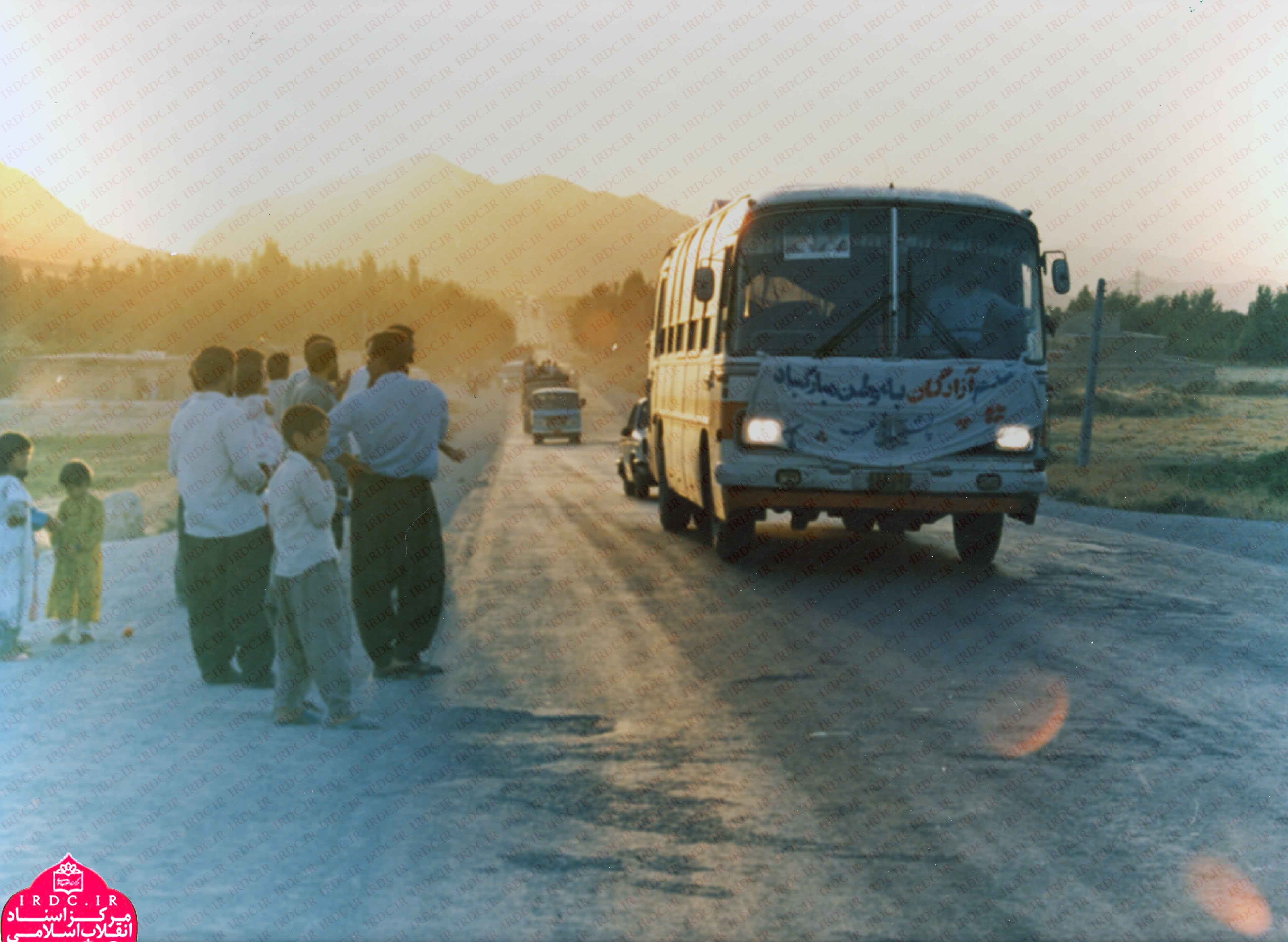 تصاویر بازگشت پرستوها11