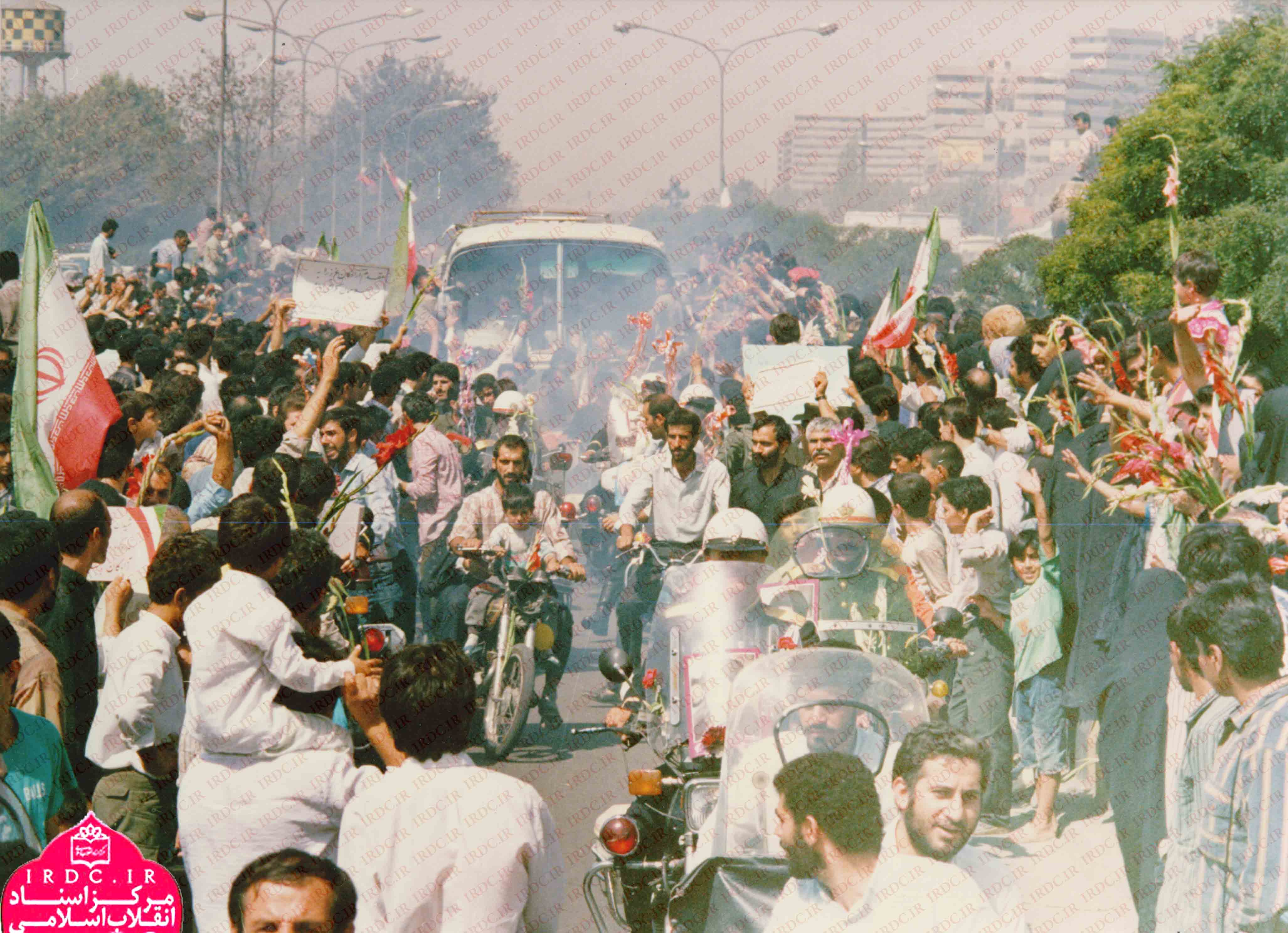 تصاویر بازگشت پرستوها2