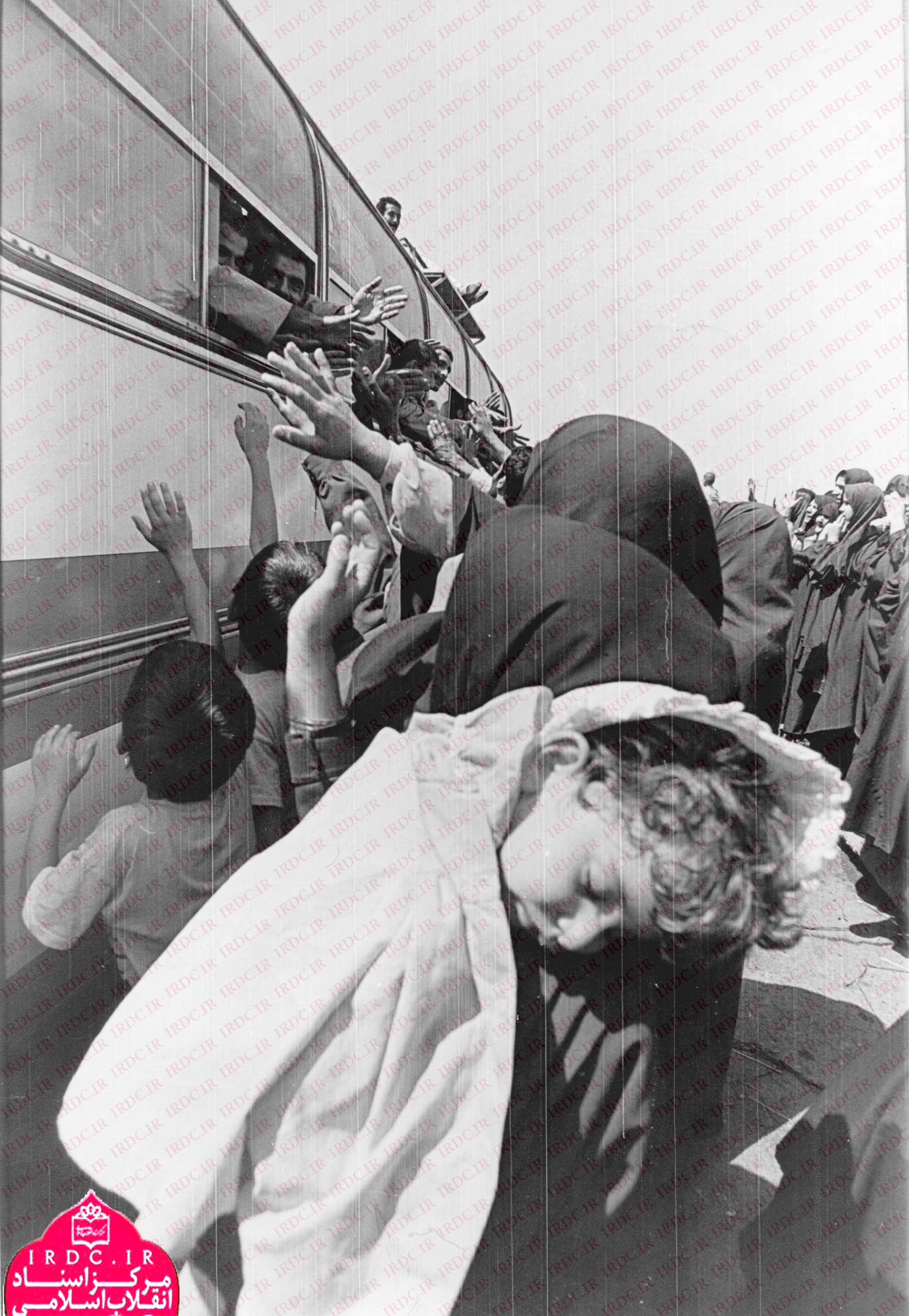 تصاویر بازگشت پرستوها13