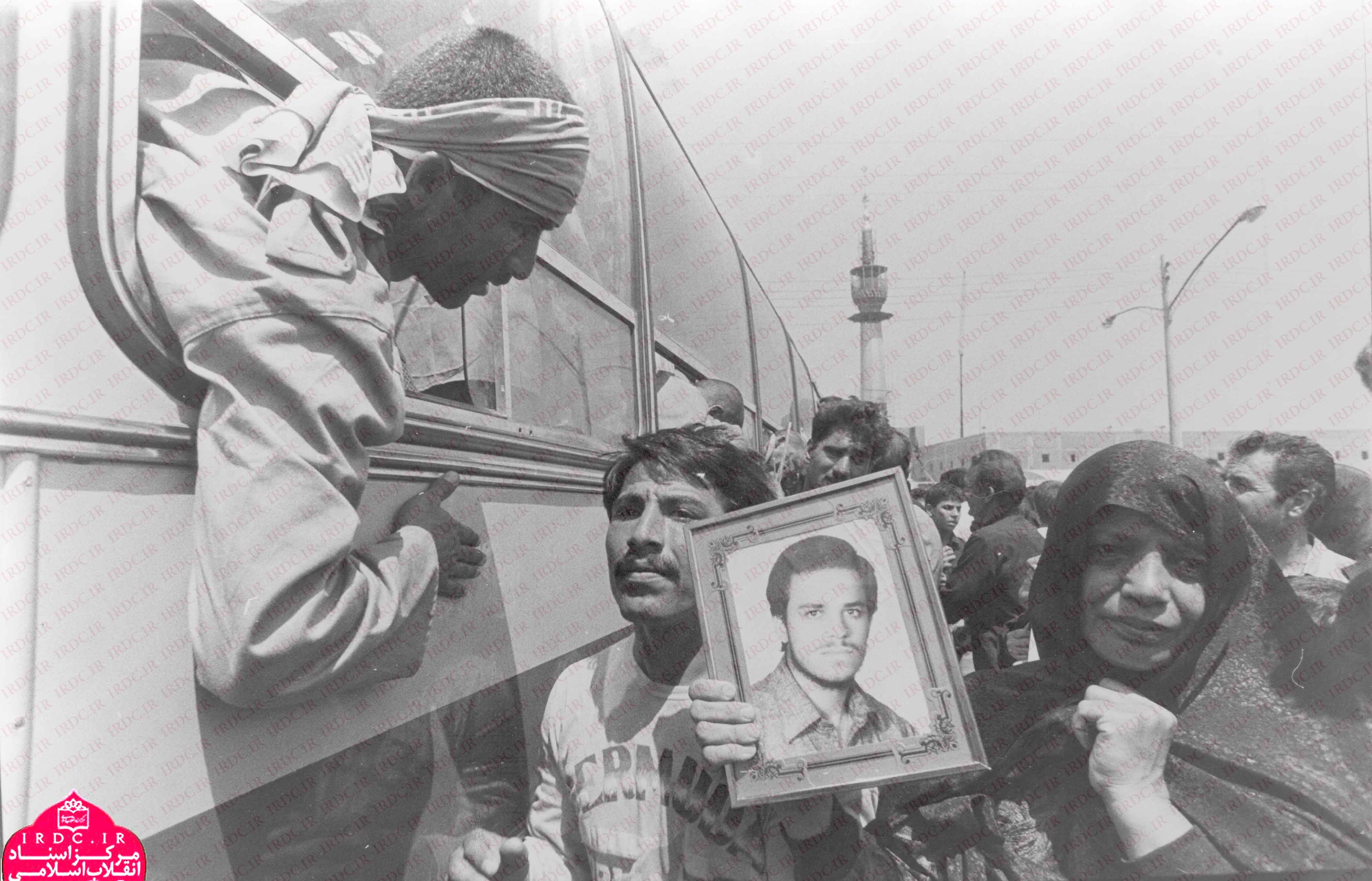 تصاویر بازگشت پرستوها14