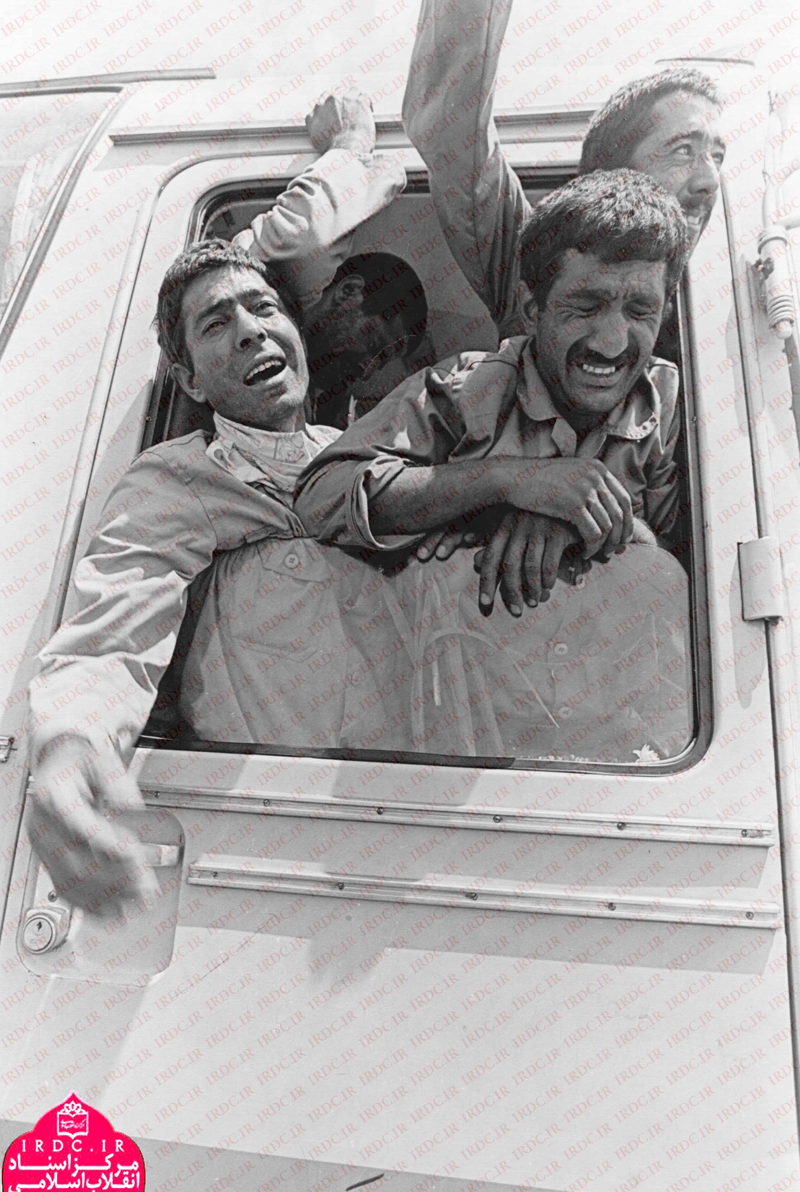 تصاویر بازگشت پرستوها16