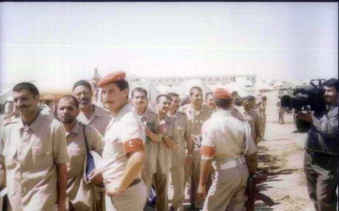 تصاویر بازگشت پرستوها26