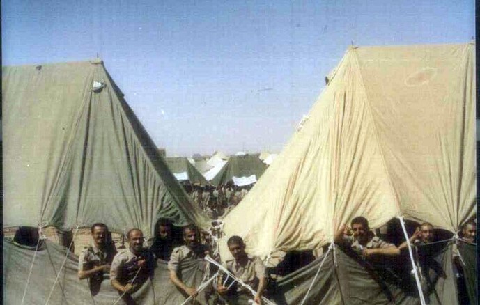 تصاویر بازگشت پرستوها27