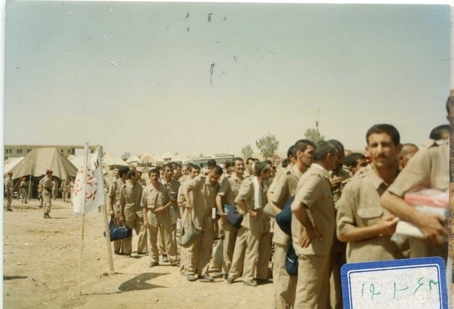 تصاویر بازگشت پرستوها29