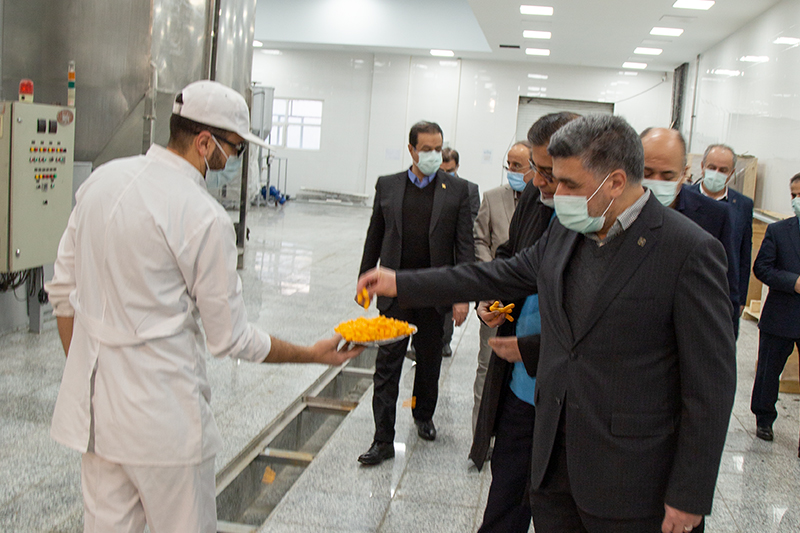 گروه صنعتی «مینو»7