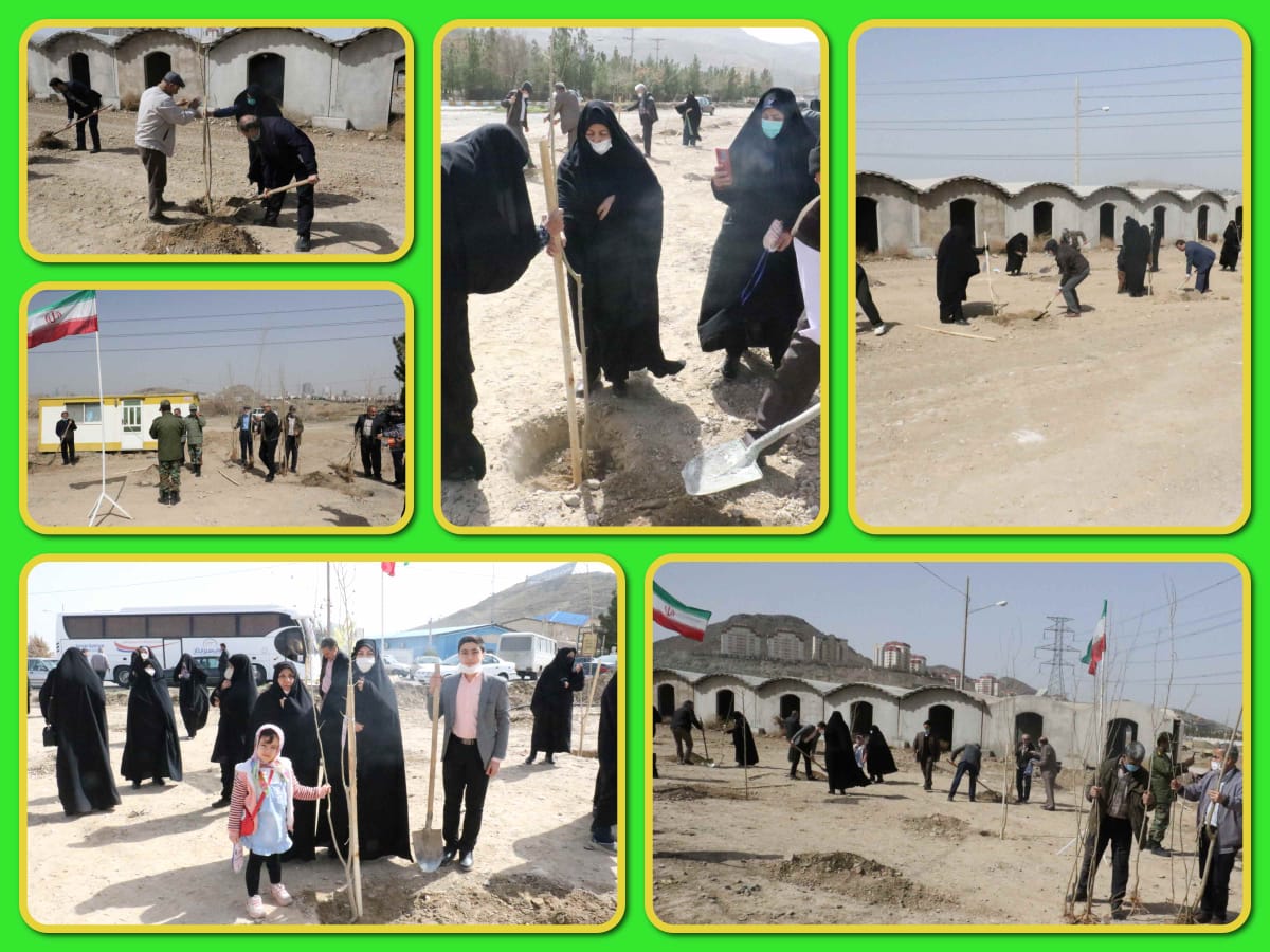 جشنواره درختکاری یادواره شهدای غریب اسارت مشهد مقدس برگزار شد3