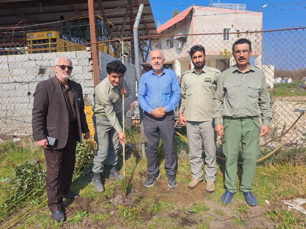 کاشت نهال به یاد شهدای غریب اسارت مازندران1