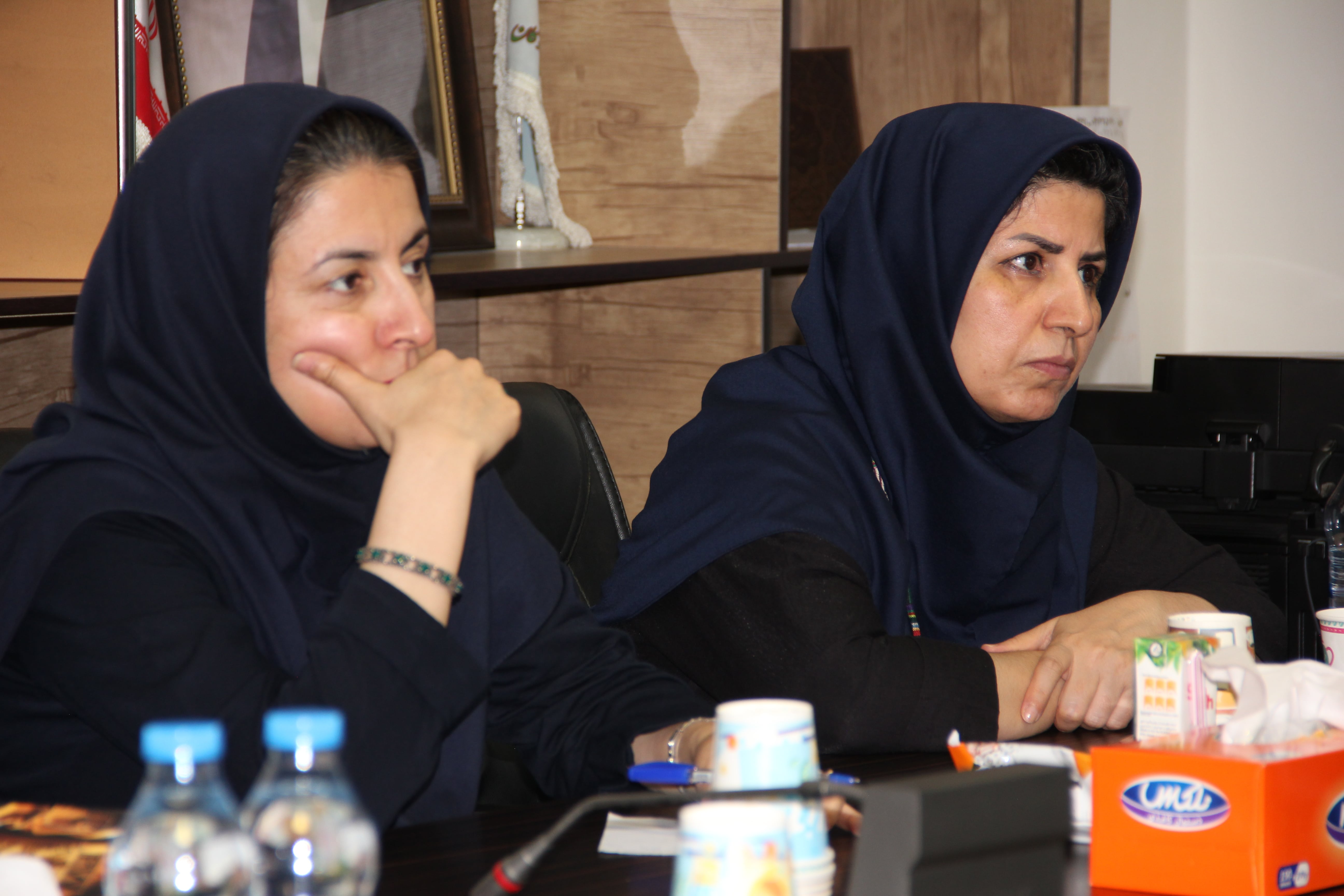 تصاویر| نشست نقد و بررسی کتاب حمله گرگ‌ها14