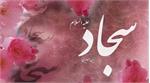 جهاد تبیین در مشی امامان شیعه