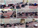 آزادگان مشهدی غیبت مولا امام زمان (عج) را به ندبه نشستند
