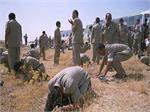 خاطره آزاده سرافراز هوشنگ پایدار (اردوگاه 20 تکریت)