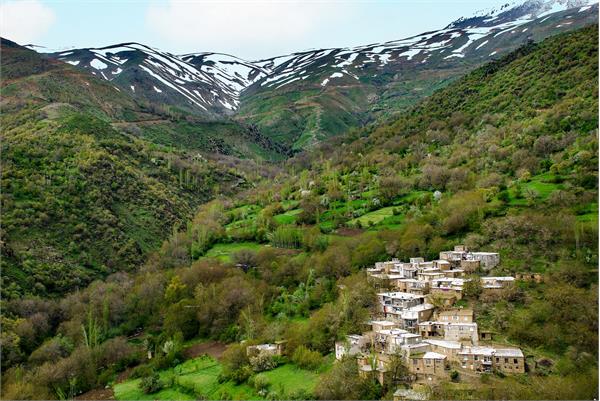 کردستان| گفت‌وگو با نماینده موسسه پیام آزادگان در استان