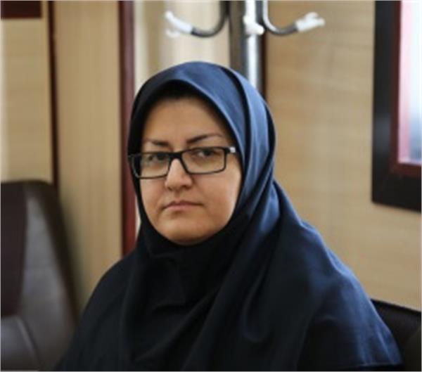 ویکی آزادگان؛ سپری برای حفظ حقیقت اسارت