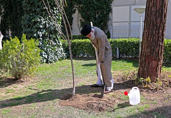 کاشت دو نهال توسط رهبر انقلاب در هفته منابع طبیعی