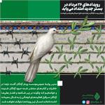 رویداد‌های 26 مرداد در بستر جدید امتداد می‌یابد
