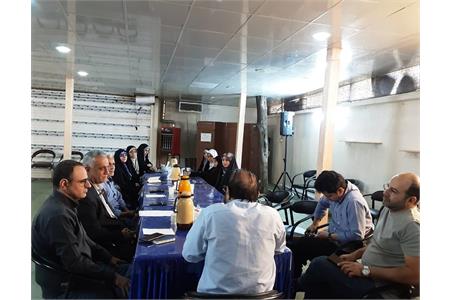 زهرا کورانی مسئول روابط‌عمومی موسسه فرهنگی هنری پیام آزادگان شد