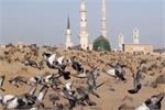 برگزاری هیئت سید الاحرار به مناسبت میلاد حضرت محمد (ص)