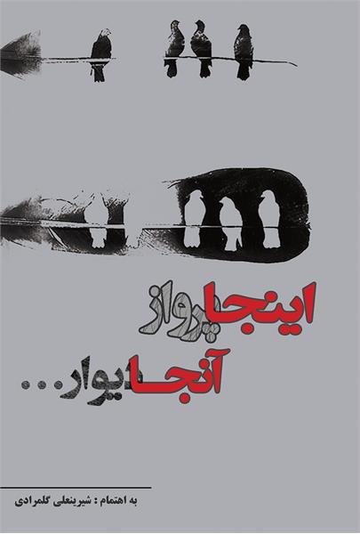 معرفی کتاب «اینجا پرواز؛ آنجا دیوار...»