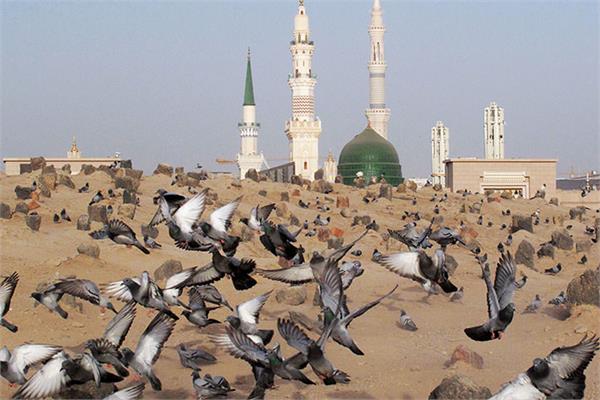 برگزاری هیئت سید الاحرار به مناسبت میلاد حضرت محمد (ص)