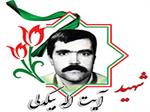 ژن برتر| زندگی‌نامه شهید غریب اسارت آزاده «آیت‌الله بیگدلی»