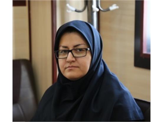 ویکی آزادگان؛ سپری برای حفظ حقیقت اسارت