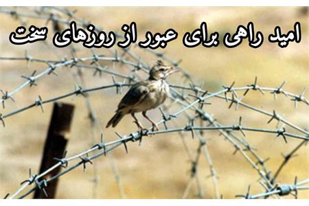 نور در تاریکی: قدرت درونی امید در تاریک‌ترین لحظات