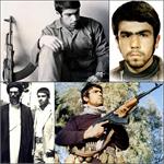 شیر جوانی که غیرت ایرانی را تا خاک موصل کشاند