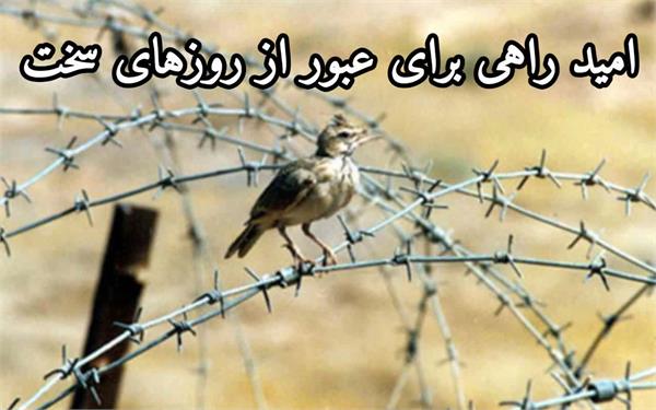 نور در تاریکی: قدرت درونی امید در تاریک‌ترین لحظات