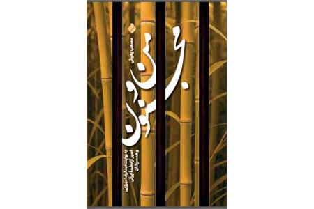 انتشار &#171;من و مجنون&#187;؛ تازه‌ترین اثر مؤسسه پیام آزادگان درباره روایت اسارت رضا میرزایی