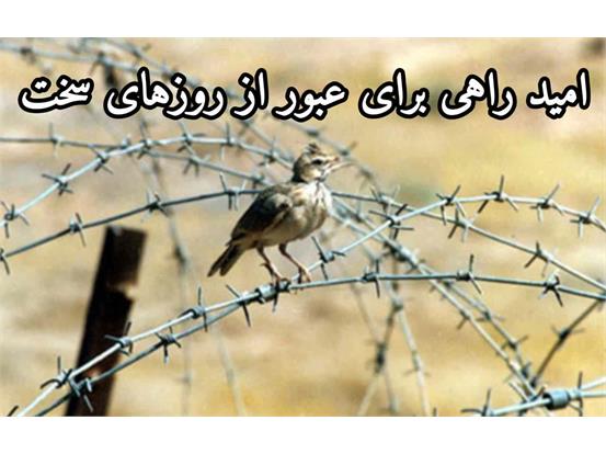 نور در تاریکی: قدرت درونی امید در تاریک‌ترین لحظات