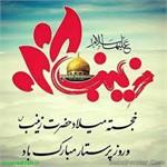 زندگی‌نامه حضرت زینب کبری (سلام الله علیها)